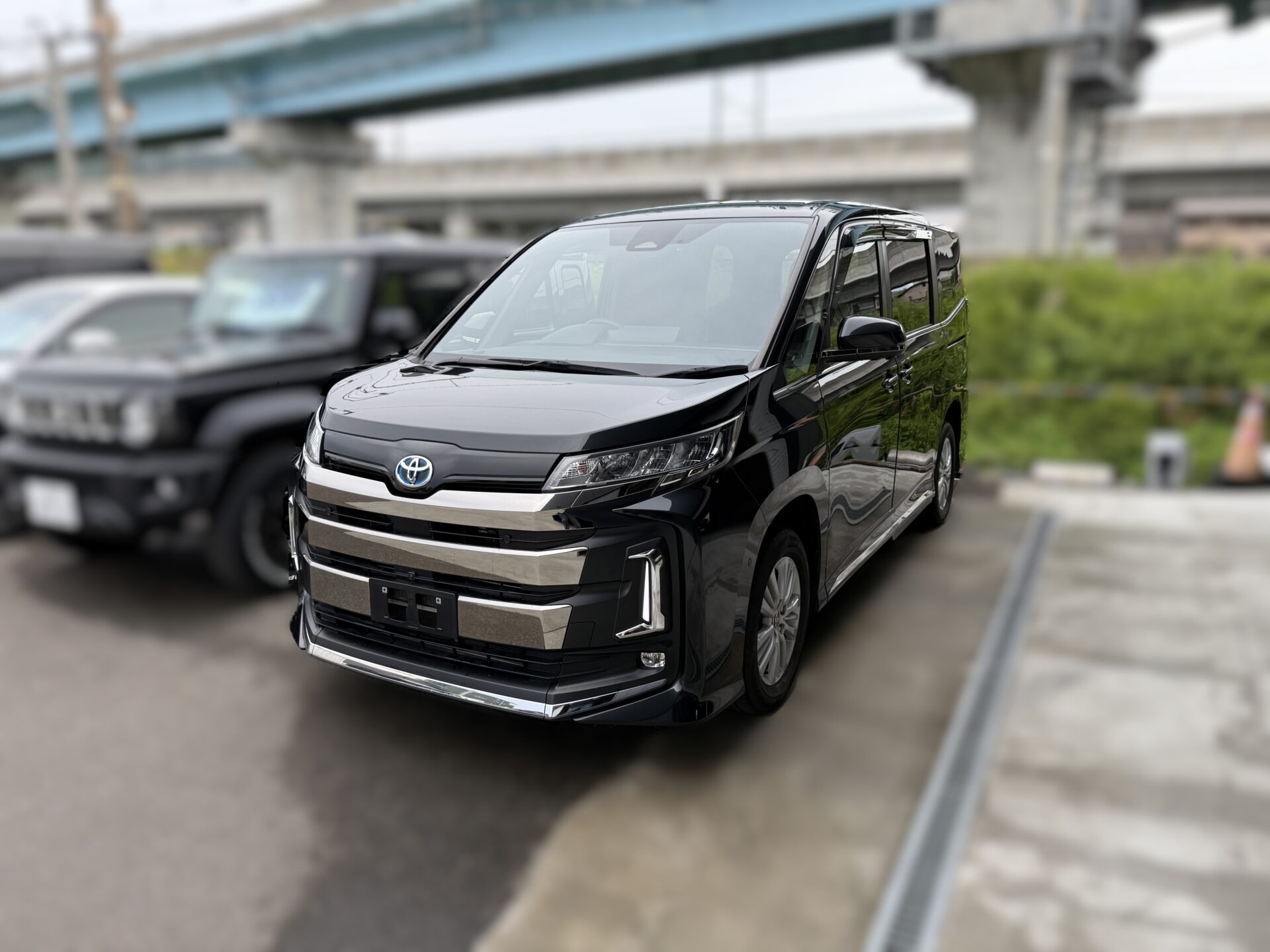ノア(SOLD OUT)